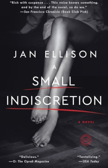 A Small Indiscretion by Jan Ellison